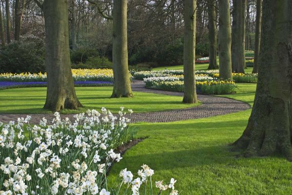 Netherlands, Lisse Blooming flowers and trees